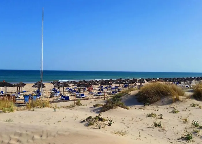 Casa Pips-elegant 3 Bed House In O Pomar كاباناس تْدي تافيرا