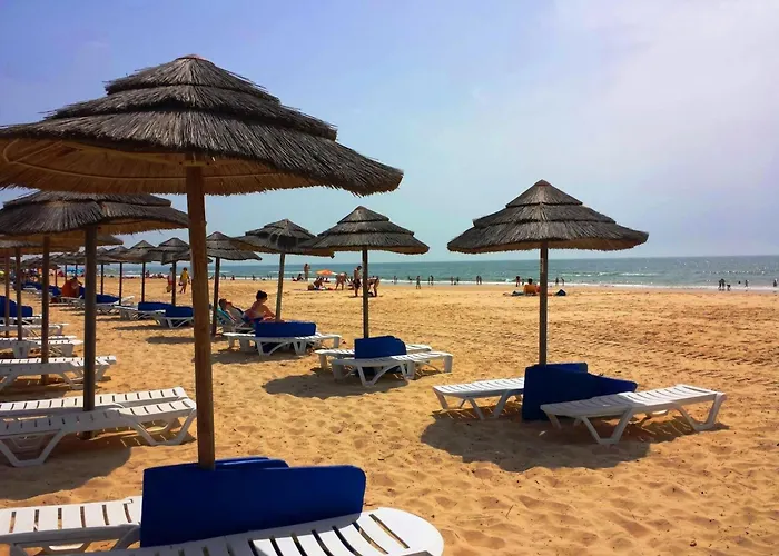 Casa Pips-elegant 3 Bed House In O Pomar * كاباناس تْدي تافيرا